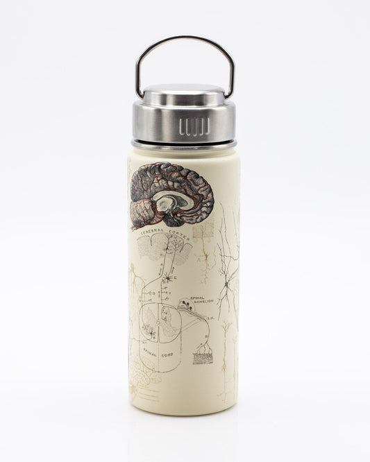 18 oz Neuron Active Thermos Cup