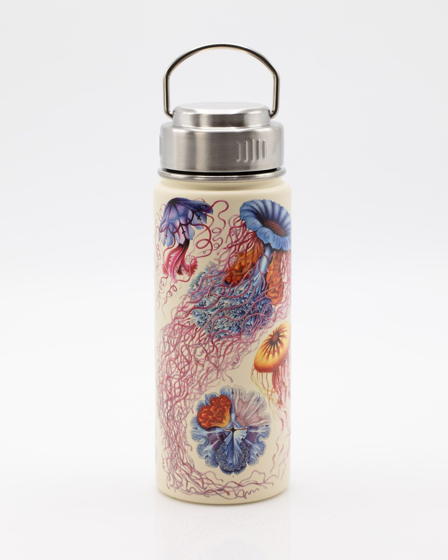 Jellyfish 18 oz Steel Bottle
